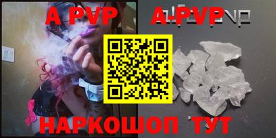 молекула духа Кингисепп