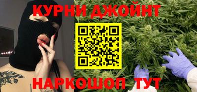 молекула духа Кингисепп