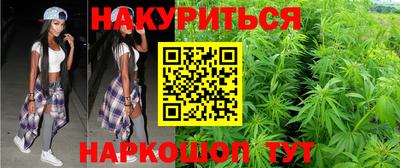 молекула духа Кингисепп