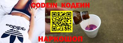 молекула духа Кингисепп