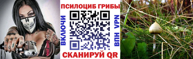 mega как войти  Шахты  Псилоцибиновые грибы прущие грибы 