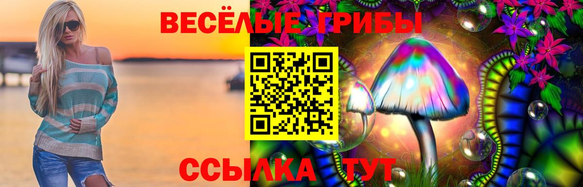 Шахты  Галлюциногенные грибы мицелий  Вход с VPN  Галлюциногенные грибы MAGIC MUSHROOMS 