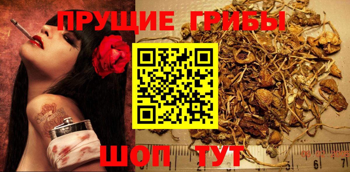 Галлюциногенные грибы ЛСД Шахты